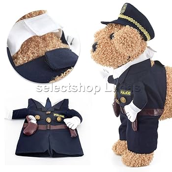 新品未使用　犬　ドッグ　ダウン　コスプレ 楽天市場】犬 服 ハロウィン ペット 仮装 コスプレ 犬 王様 帽子